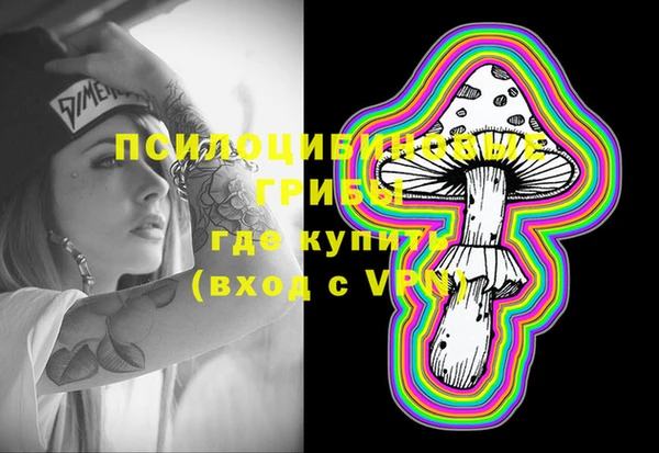 PSILOCYBIN Гусиноозёрск